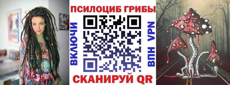 OMG ССЫЛКА  Первомайск  Галлюциногенные грибы Cubensis  как найти  